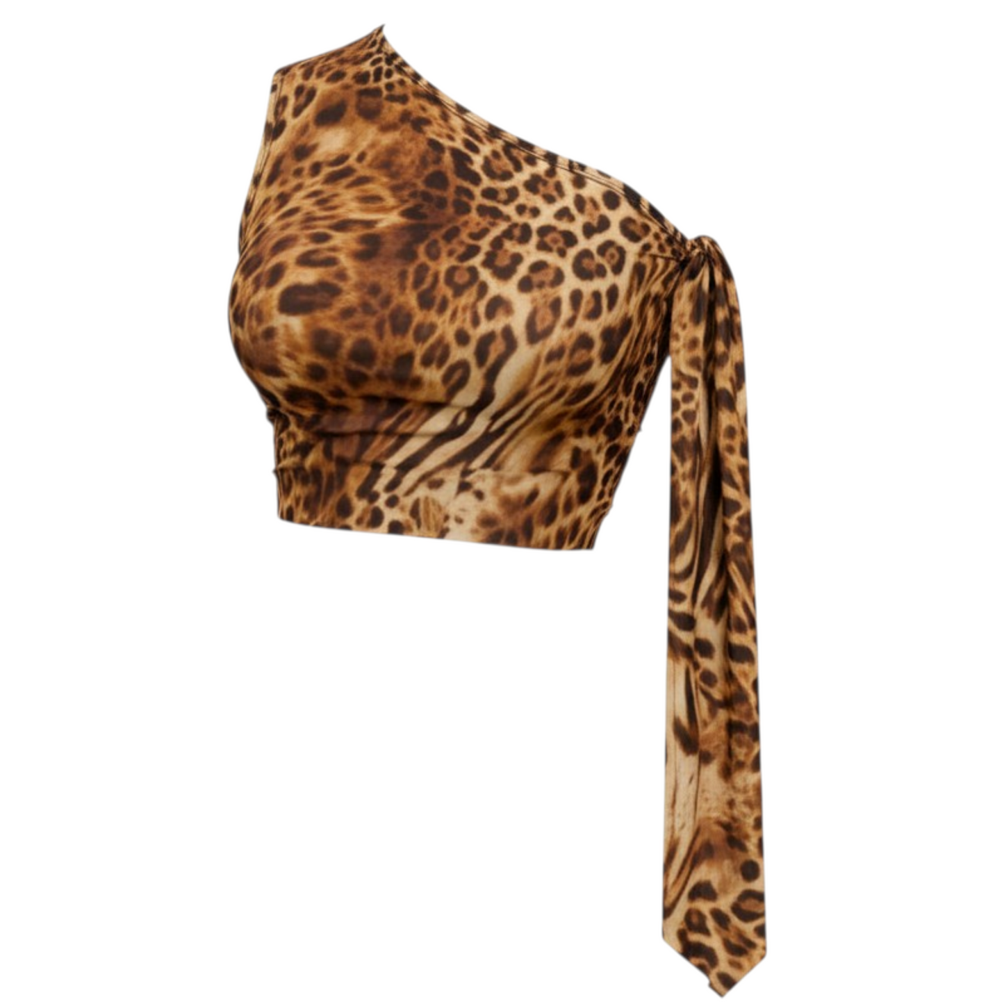 Leopard print Top (Tiger mix)